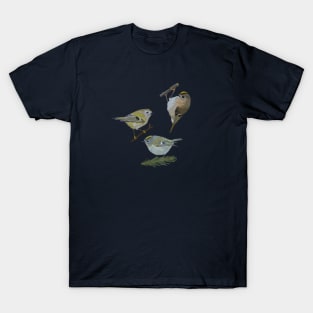 Kinglets T-Shirt